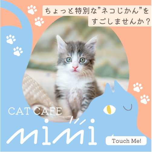 猫カフェmimi