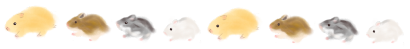 歩くハムスター達