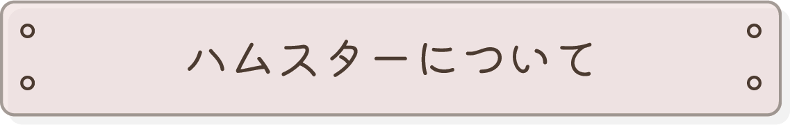 ハムスターについて