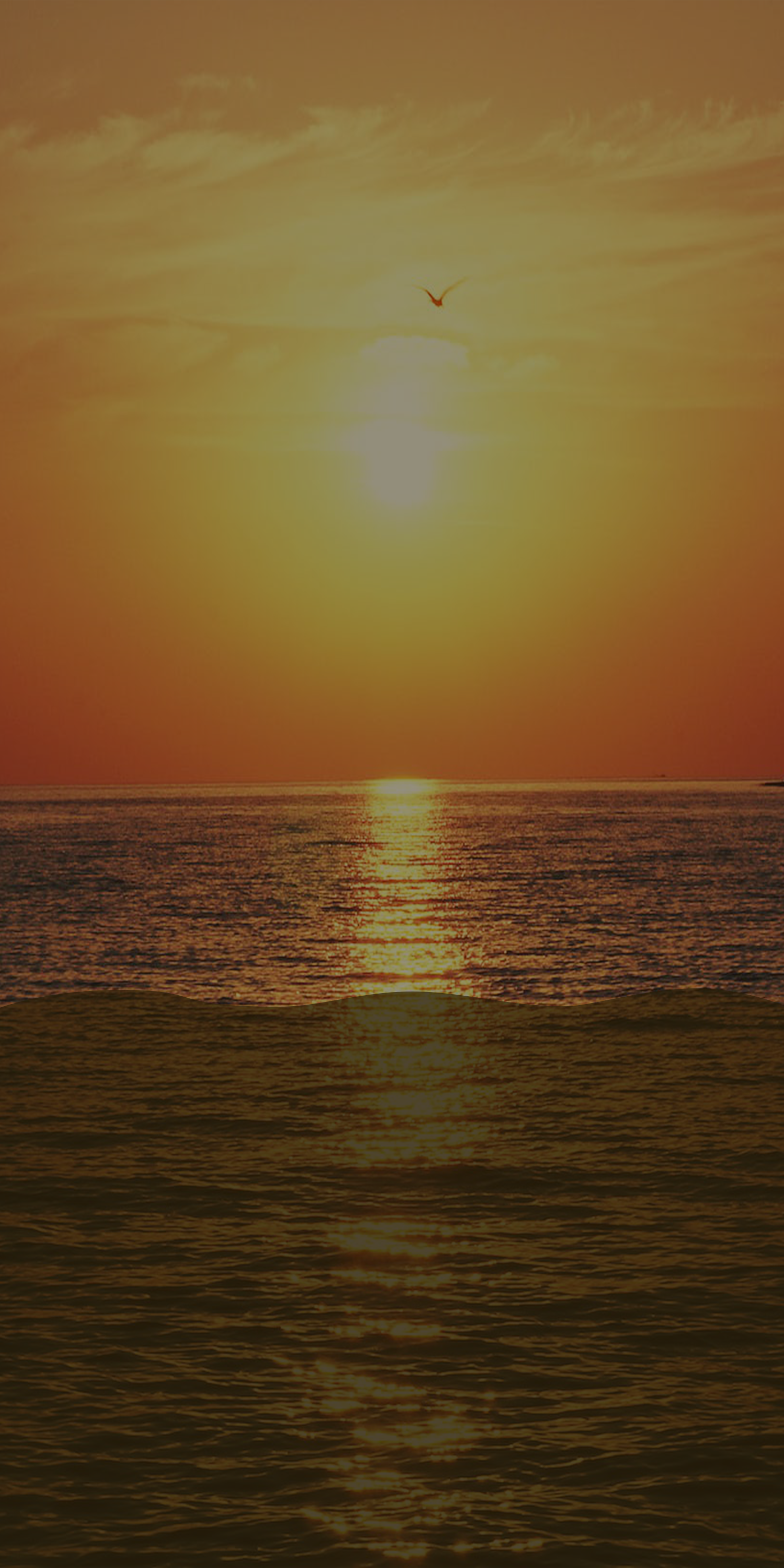 海の写真の画像