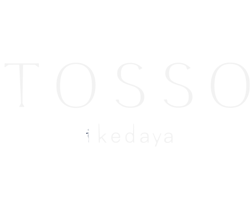 TOSSOロゴ画像