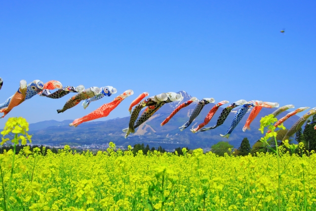 こいのぼりが舞う風景